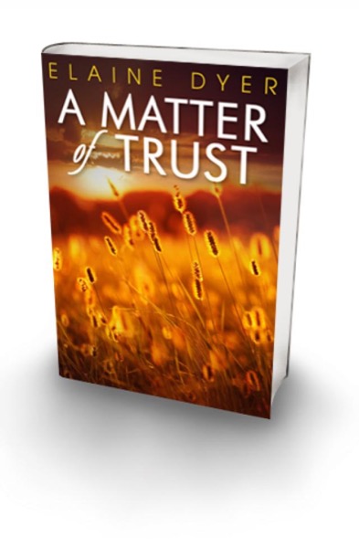 A Matter of Trust by LazyDay Publishing