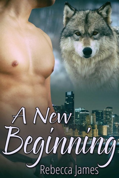 A New Beginning by Rebecca James