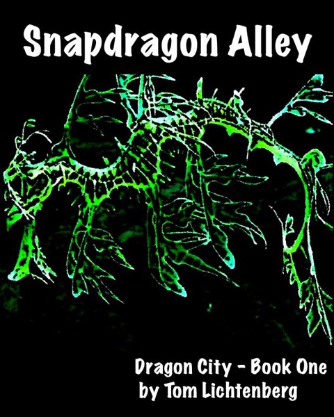 Snapdragon Alley by Tom Lichtenberg