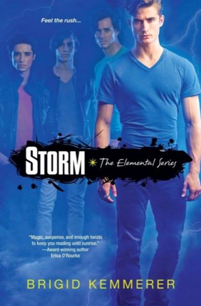 Storm by D. J. MacHale