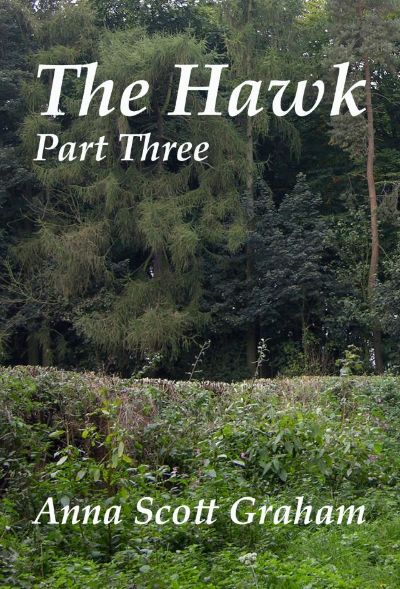 The Hawk: Part Three by Anna Scott Graham