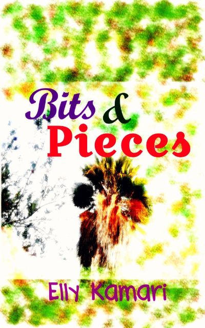 Bits and Pieces by Elly Kamari