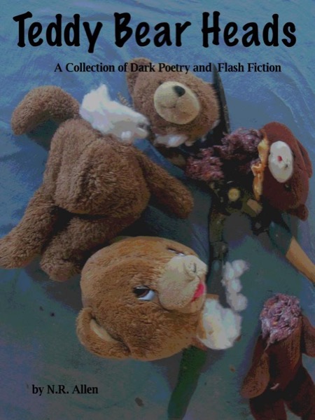 Teddy Bear Heads: A Collection of Dark Poetry and Flash Fiction by N.R. Allen