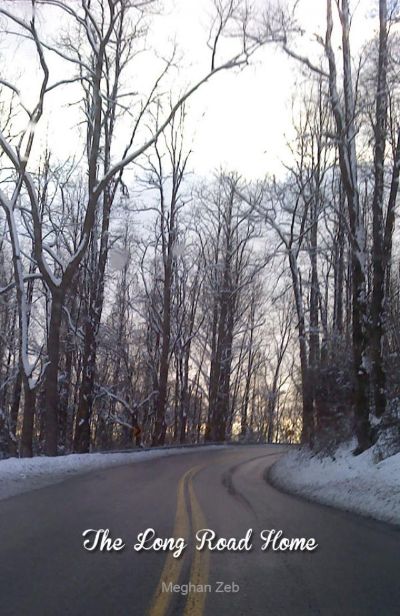 The Long Road Home by Meghan Zeb