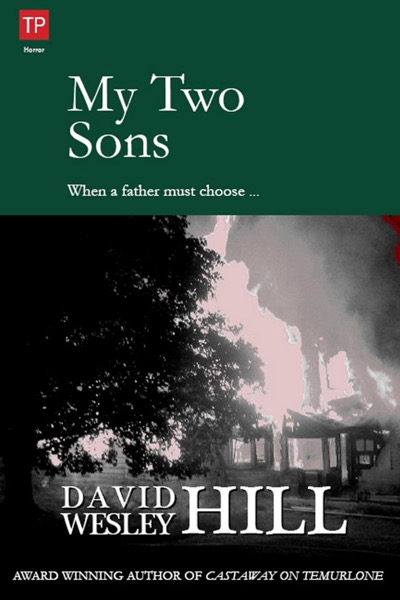 My Two Sons by David Wesley Hill