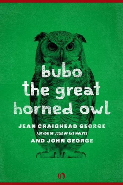 Bubo, the Great Horned Owl by Jean Craighead George