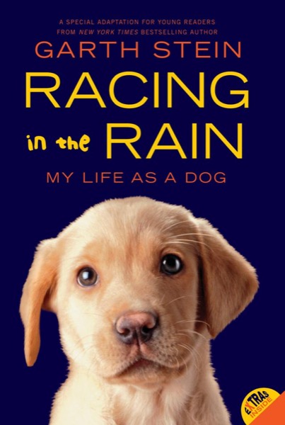 The Art of Racing in the Rain by Garth Stein