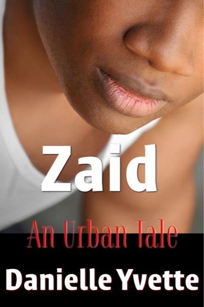 Zaid: An Urban Tale by Danielle Yvette