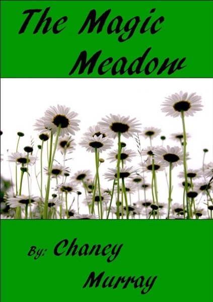 The Magic Meadow by Chaney Murray