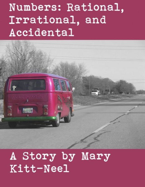 Numbers: Rational, Irrational, and Accidental by Mary Kitt-Neel