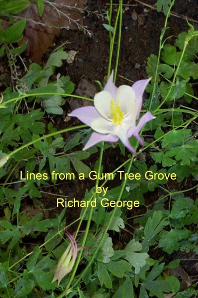 Lines from a Gum Tree Grove by Richard George