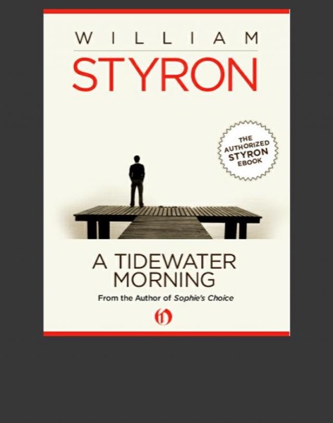 A Tidewater Morning by William Styron