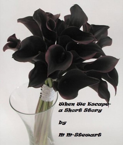 When We Escape- A Short Story by M M-Stewart