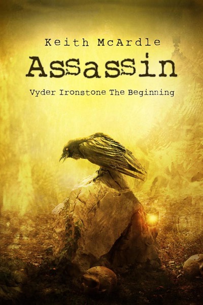 Assassin: The Beginning by Keith McArdle