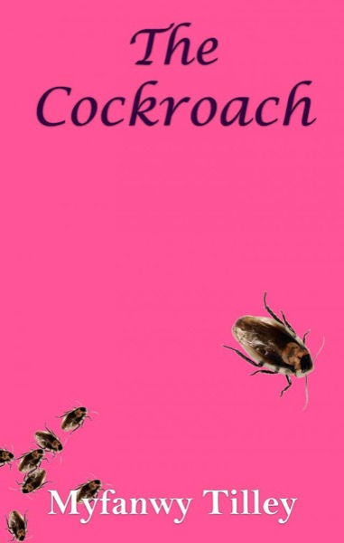 The Cockroach by Myfanwy Tilley