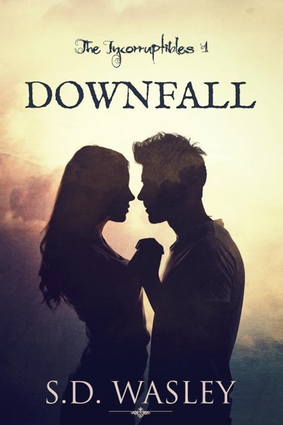 Downfall by S.D. Wasley