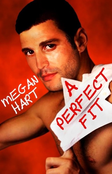 A PERFECT FIT by Megan Hart