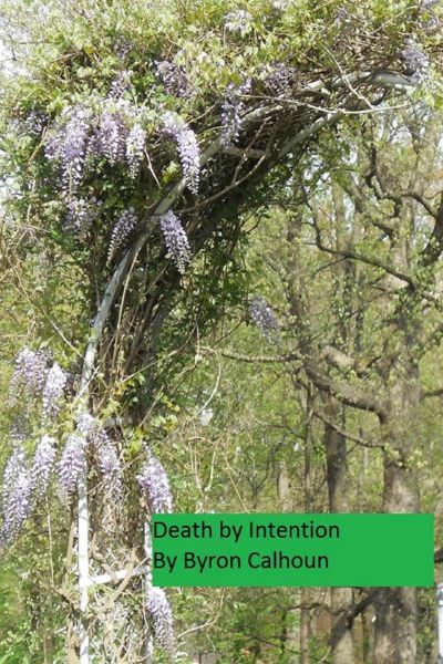 Death By Intention by Byron Calhoun