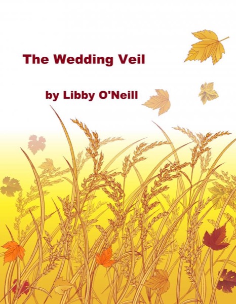 The Wedding Veil by LibO'Neill