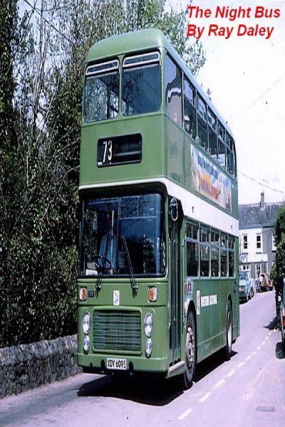 The Night Bus by Ray Daley