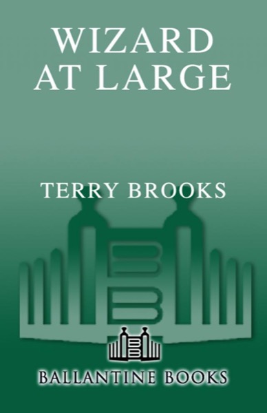 Wizard at Large by Terry Brooks