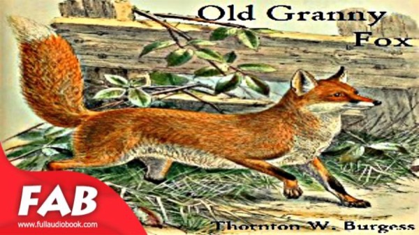 Old Granny Fox by Thornton W. Burgess