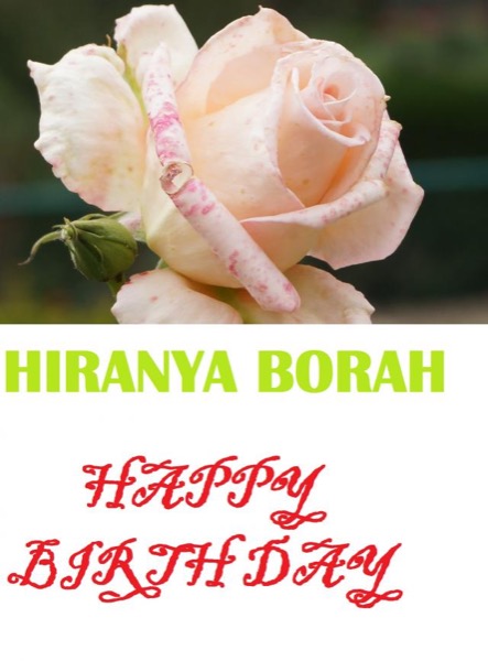 Birth Day by Hiranya Borah