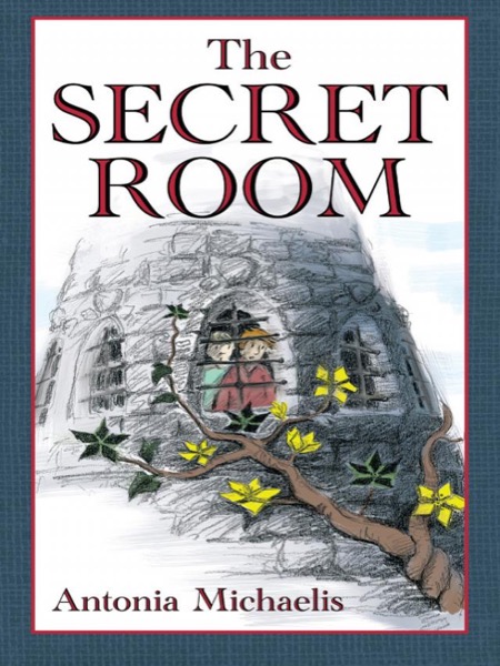 The Secret Room by Antonia Michaelis