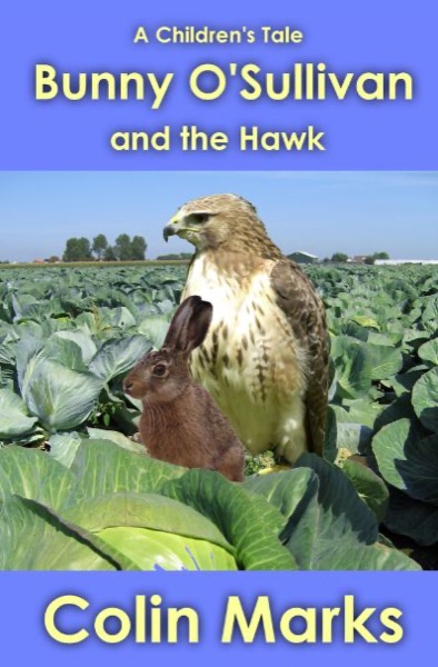 Bunny O'Sullivan and the Hawk by Colin Marks