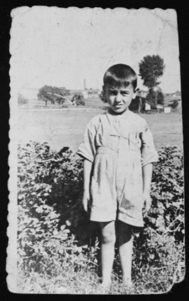 CHILDREN OF DOLHINOV: A SMALL TOWN IN THE MIDST AND MIST OF HISTORY by Barry Rubin