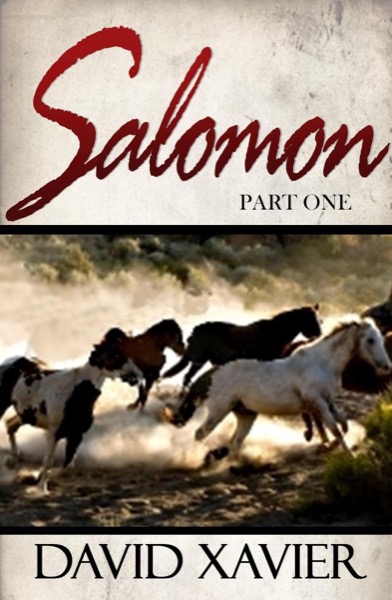 Salomon (Part One) by David Xavier