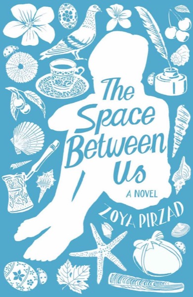 The Space Between Us by Zoya Pirzad