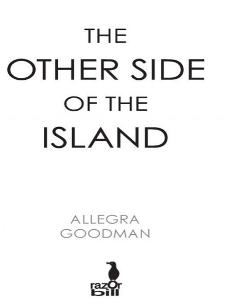 The Other Side of the Island by Allegra Goodman