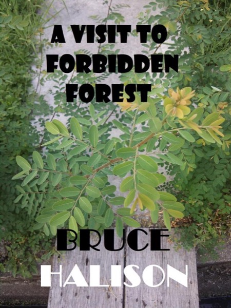 A Visit to Forbidden Forest by Bruce Halison