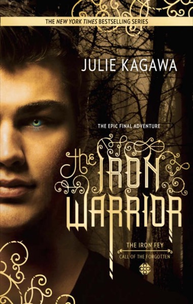 The Iron Warrior by Julie Kagawa