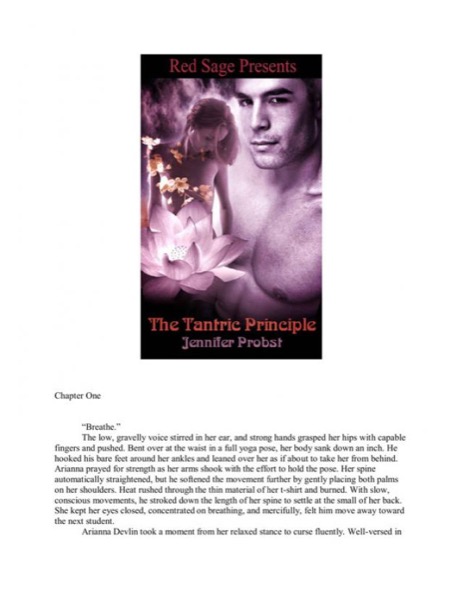 The Tantric Principle by Jennifer Probst