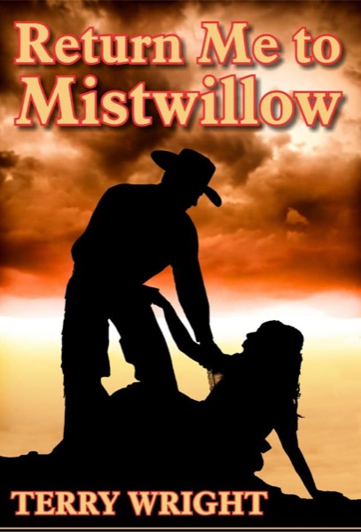 Return Me to Mistwillow by Terry Wright