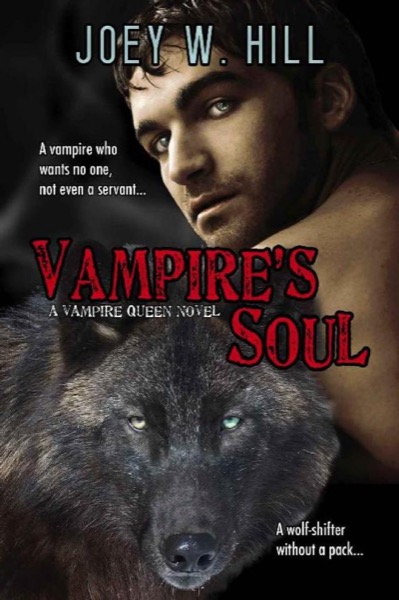 Vampire's Soul by Joey W. Hill