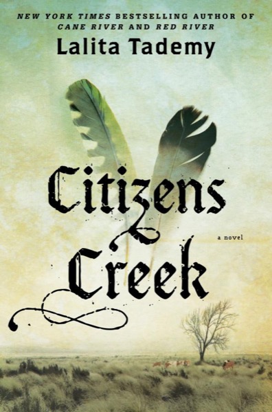 Citizens Creek by Lalita Tademy