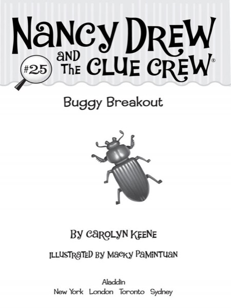 Buggy Breakout by Carolyn Keene