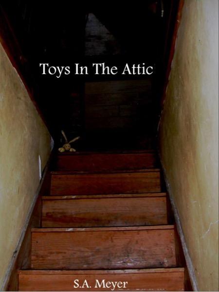 Toys In The Attic by S.A. Meyer