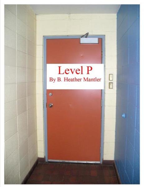 Level P by B. Heather Mantler