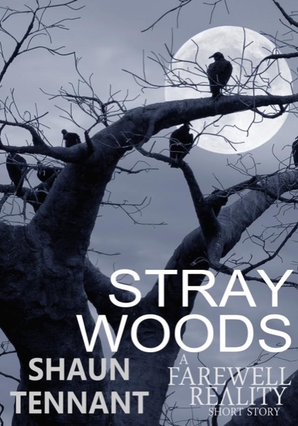 Stray Woods by Shaun Tennant