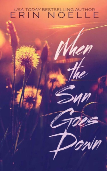 When the Sun Goes Down by Erin Noelle