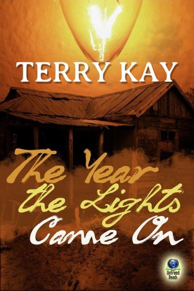 The Year the Lights Came On by Terry Kay