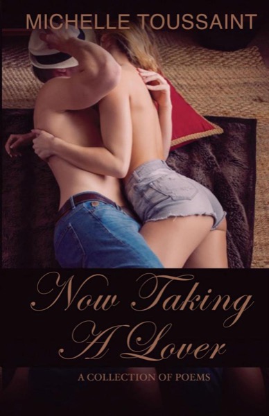 Now Taking A Lover by Michelle Toussaint