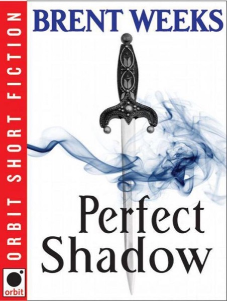 Perfect Shadow by Brent Weeks