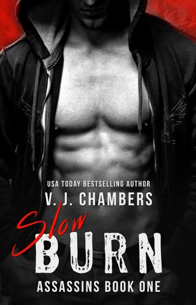 Slow Burn by V. J. Chambers