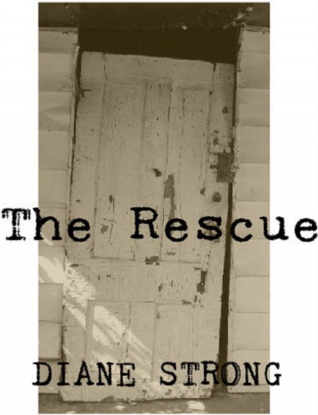 The Rescue (The Running Suspense Series #4) by Diane Strong