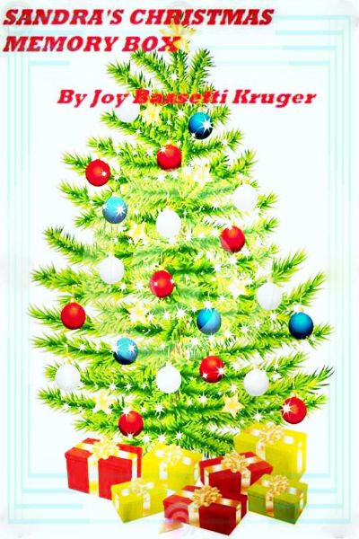 Sandra's Christmas Memory Box by Joy Bassetti-Kruger